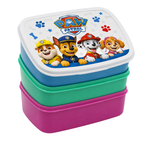 Rectangular lunch box